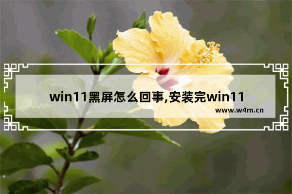 win11黑屏怎么回事,安装完win11黑屏