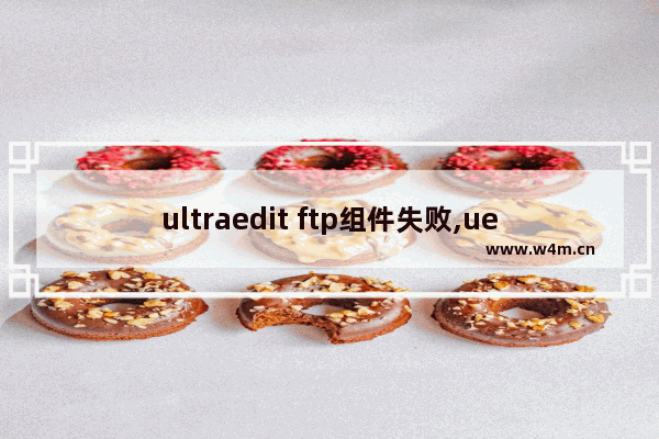 ultraedit ftp组件失败,ue ftp组件失败