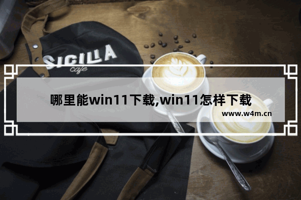 哪里能win11下载,win11怎样下载软件