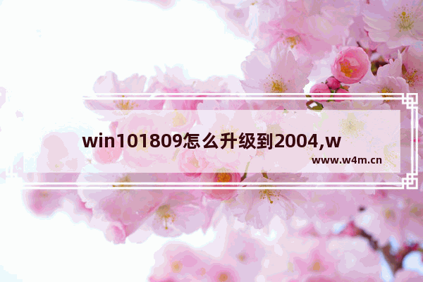 win101809怎么升级到2004,windows1909怎么升级到2004