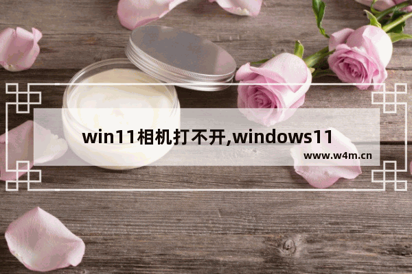 win11相机打不开,windows11相机