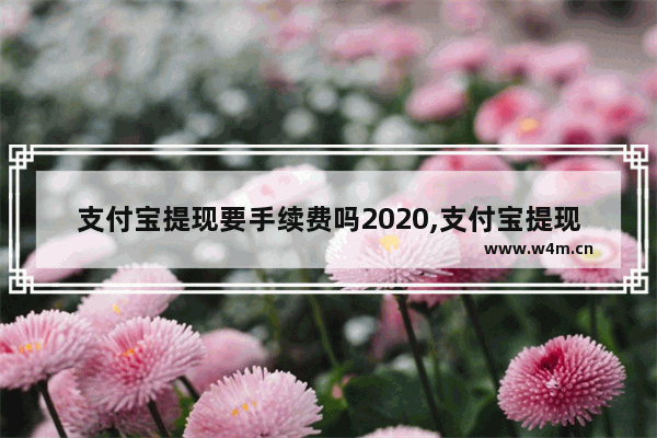 支付宝提现要手续费吗2020,支付宝提现收手续费吗2020