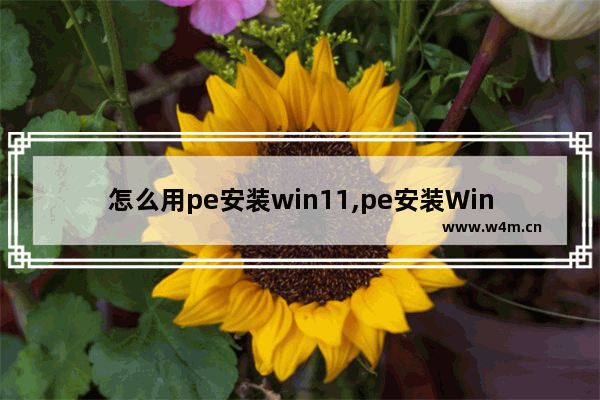 怎么用pe安装win11,pe安装Win11