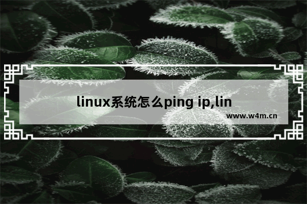 linux系统怎么ping ip,linux如何ping域名