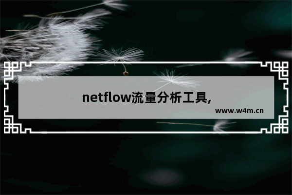 netflow流量分析工具,