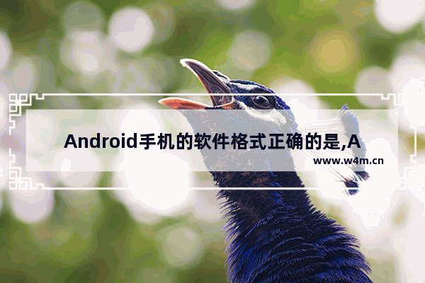 Android手机的软件格式正确的是,Android手机的工作模式