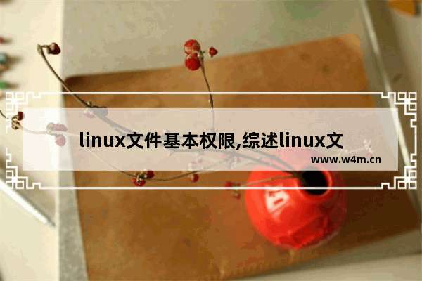 linux文件基本权限,综述linux文件权限和管理