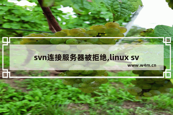 svn连接服务器被拒绝,linux svn服务器