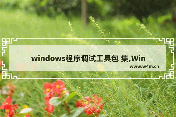 windows程序调试工具包 集,Windows程序调试