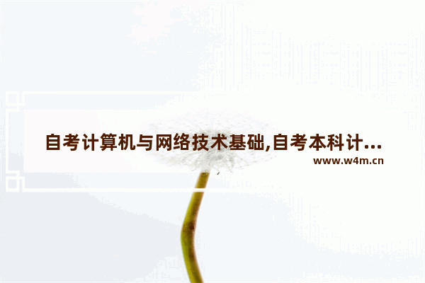 自考计算机与网络技术基础,自考本科计算机网络技术