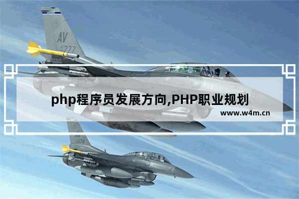 php程序员发展方向,PHP职业规划