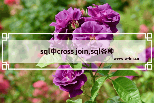 sql中cross join,sql各种join用法详解