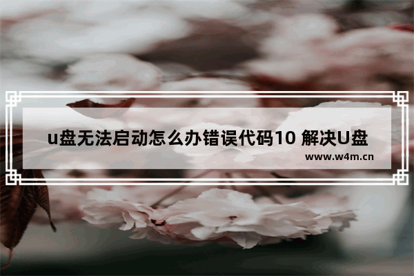 u盘无法启动怎么办错误代码10 解决U盘启动错误代码10