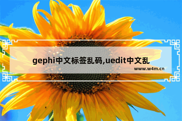 gephi中文标签乱码,uedit中文乱码