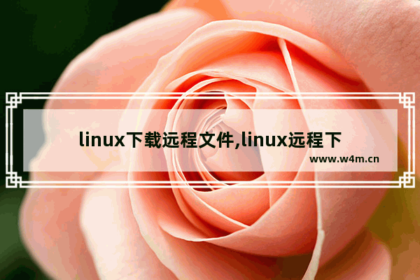 linux下载远程文件,linux远程下载工具