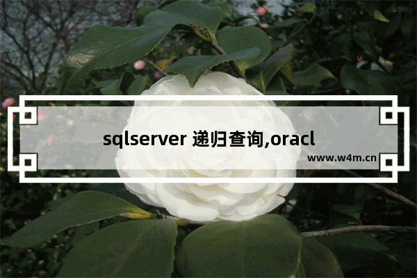 sqlserver 递归查询,oraclesql递归查询讲解