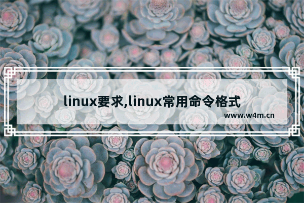 linux要求,linux常用命令格式