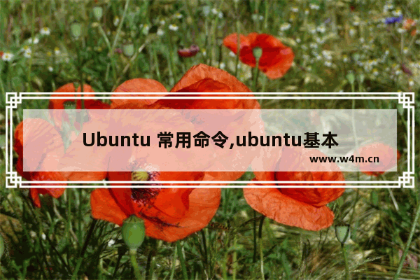 Ubuntu 常用命令,ubuntu基本命令和基本操作