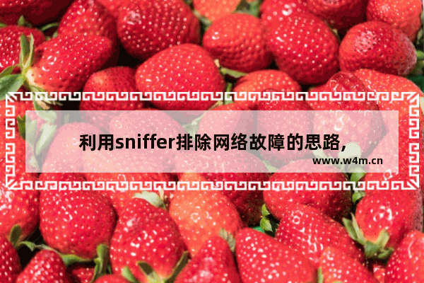 利用sniffer排除网络故障的思路,