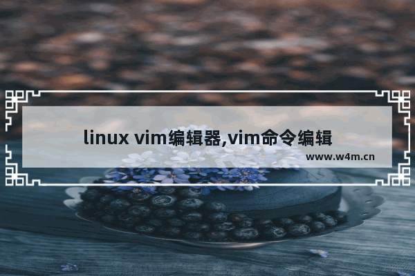 linux vim编辑器,vim命令编辑