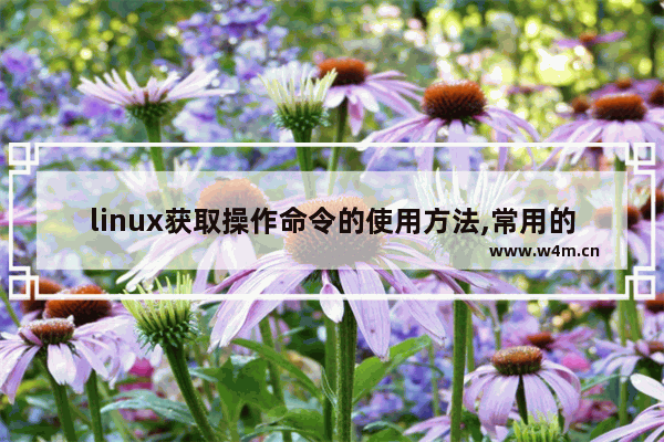 linux获取操作命令的使用方法,常用的linux信息获取命令有哪些-各自的功能是什么