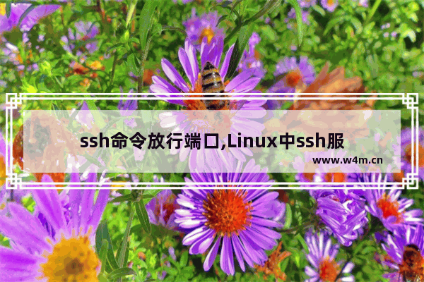 ssh命令放行端口,Linux中ssh服务使用的默认端口