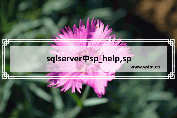 sqlserver中sp_help,sp_helpdb附近有语法错误