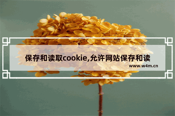 保存和读取cookie,允许网站保存和读取cookie数据