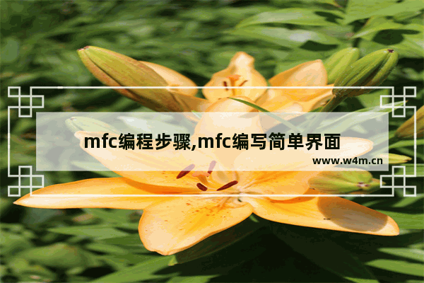 mfc编程步骤,mfc编写简单界面