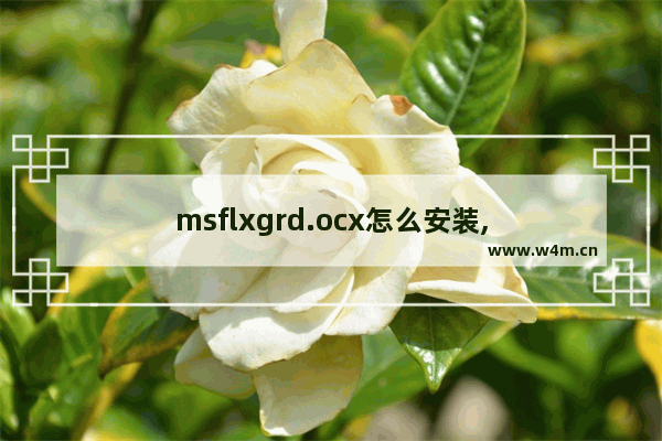 msflxgrd.ocx怎么安装,