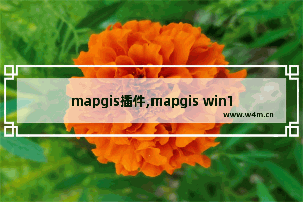 mapgis插件,mapgis win10