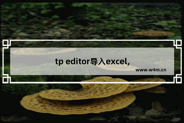 tp editor导入excel,