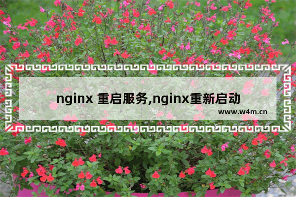 nginx 重启服务,nginx重新启动