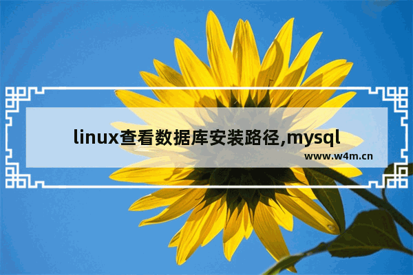 linux查看数据库安装路径,mysql的安装路径在哪