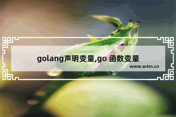 golang声明变量,go 函数变量