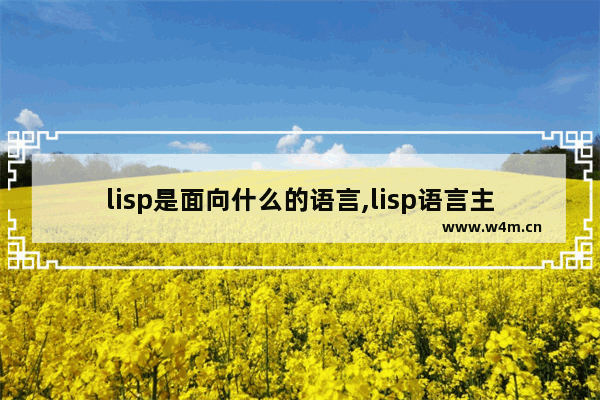 lisp是面向什么的语言,lisp语言主要发明者是