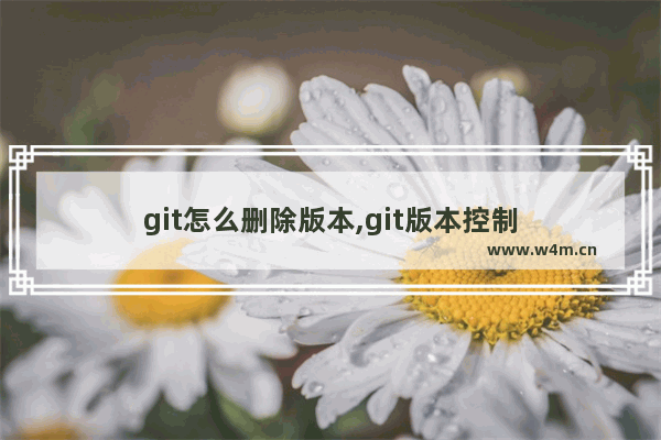 git怎么删除版本,git版本控制