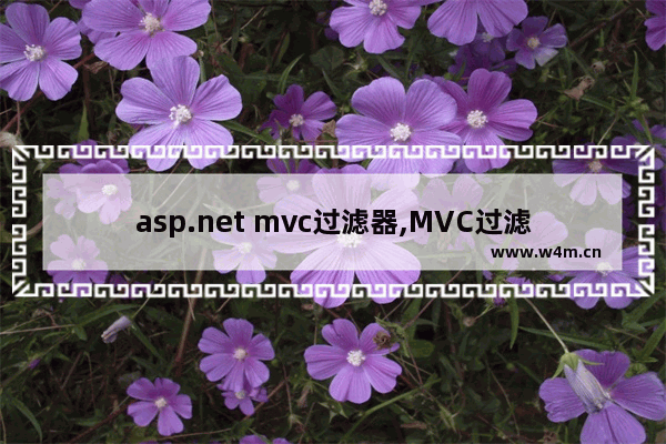 asp.net mvc过滤器,MVC过滤器