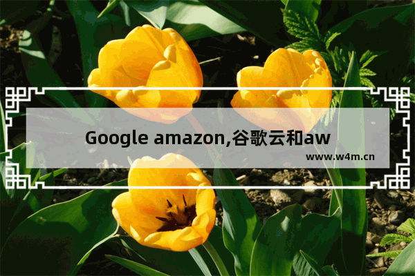 Google amazon,谷歌云和aws