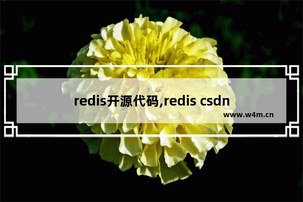 redis开源代码,redis csdn