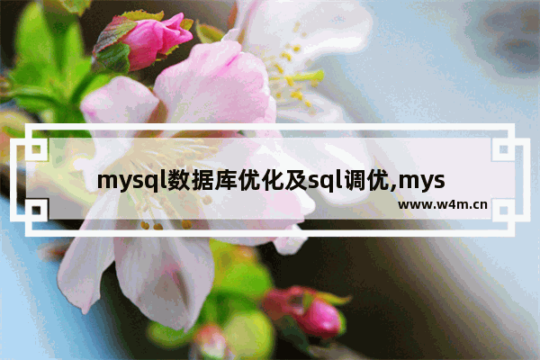 mysql数据库优化及sql调优,mysql的查询优化