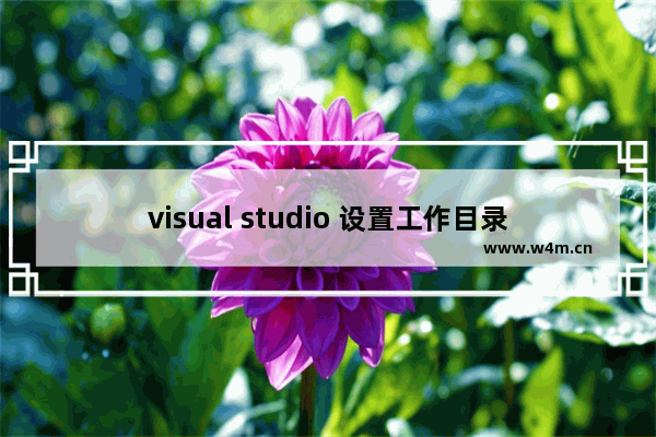 visual studio 设置工作目录,visual studio 2010环境设置