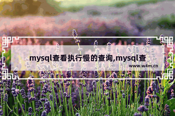 mysql查看执行慢的查询,mysql查询慢sql命令