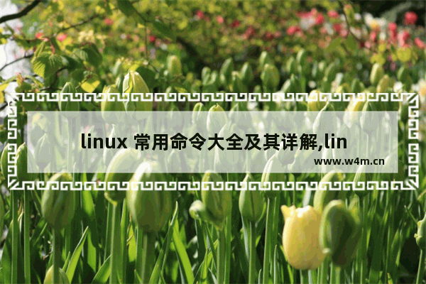 linux 常用命令大全及其详解,linux的常用命令