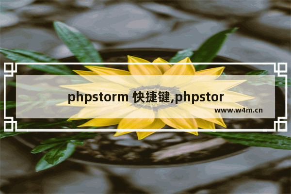 phpstorm 快捷键,phpstorm使用技巧