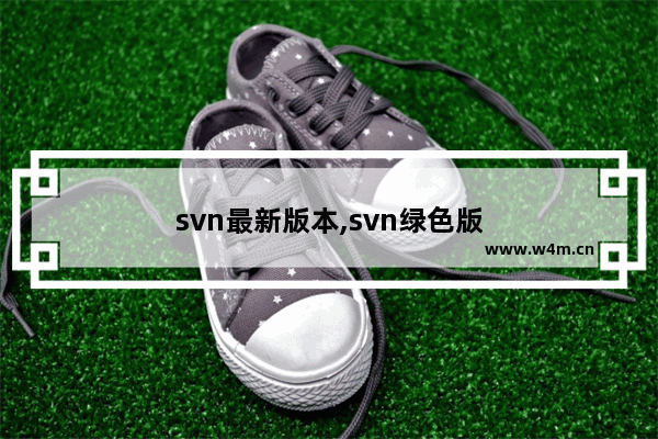 svn最新版本,svn绿色版