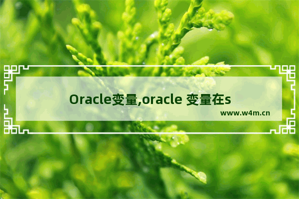 Oracle变量,oracle 变量在sql中使用