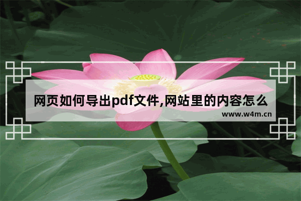 网页如何导出pdf文件,网站里的内容怎么导出pdf