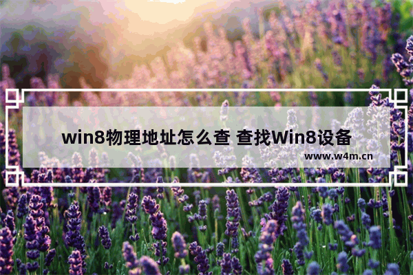 win8物理地址怎么查 查找Win8设备的物理地址