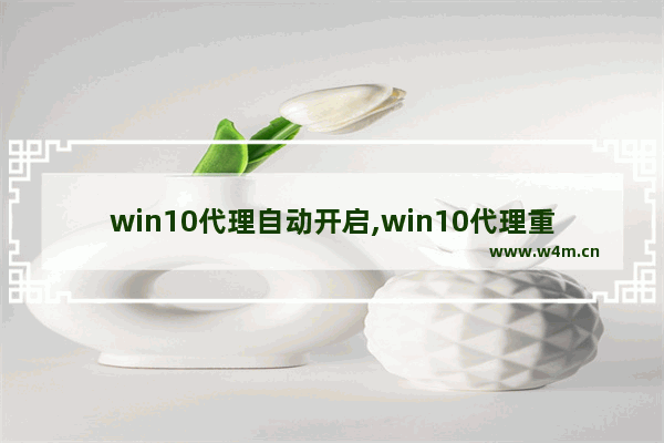 win10代理自动开启,win10代理重启后丢失